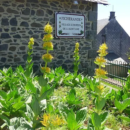 Aux Balcons Du Sancy Picherande